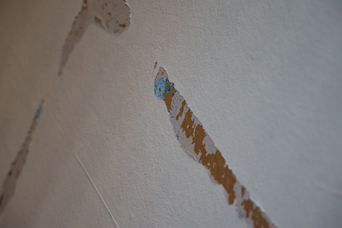 Structural Drying service in Vacaville, CA